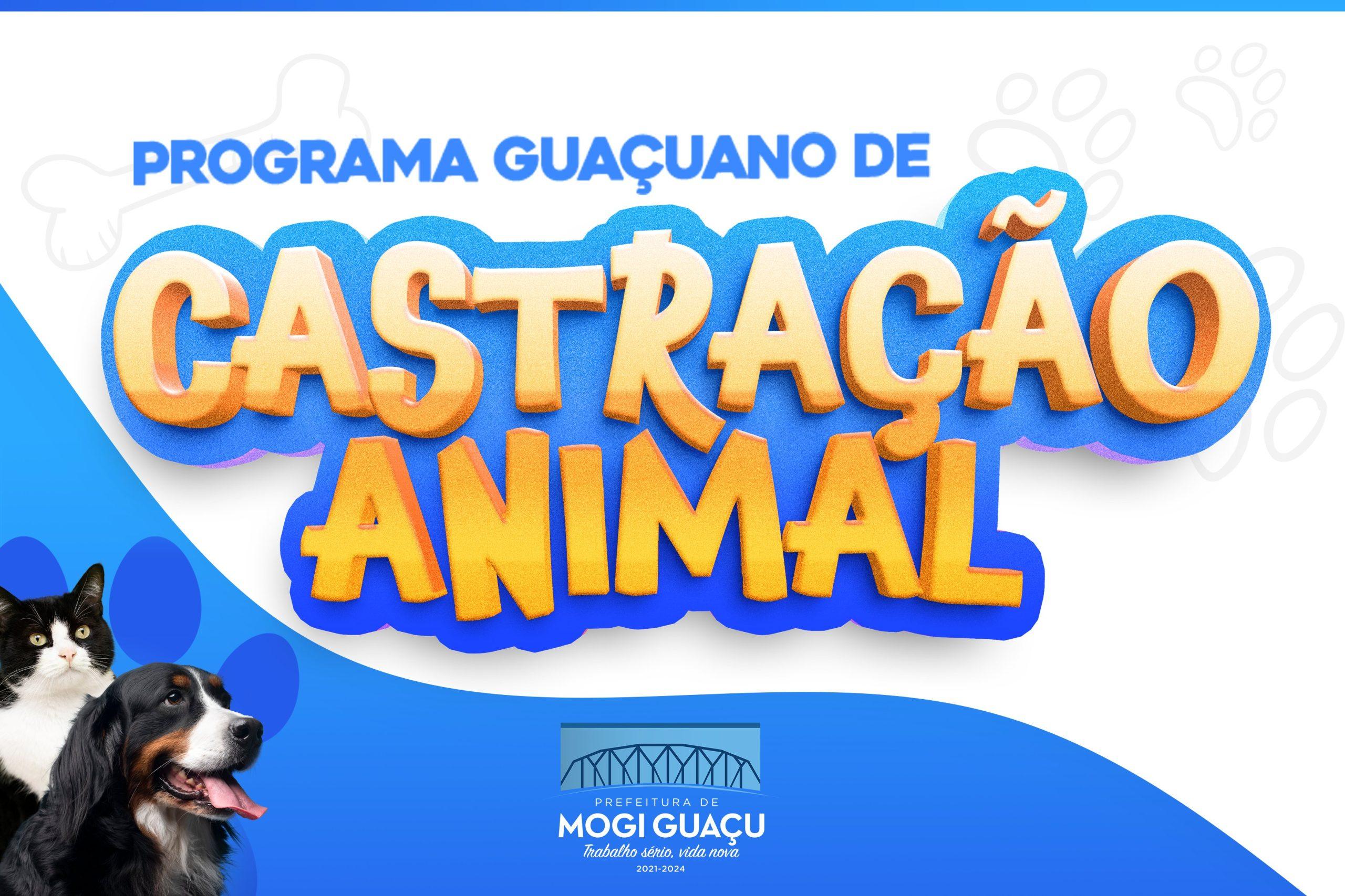 Programa de Castração Animal tem início neste final de semana