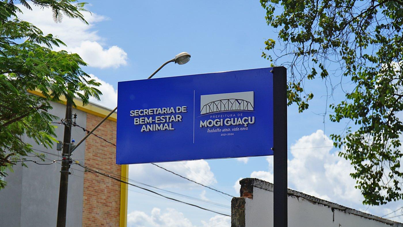 Secretaria de Bem-Estar Animal e CCZ identificam canil clandestino em Mogi Guaçu e local é fechado