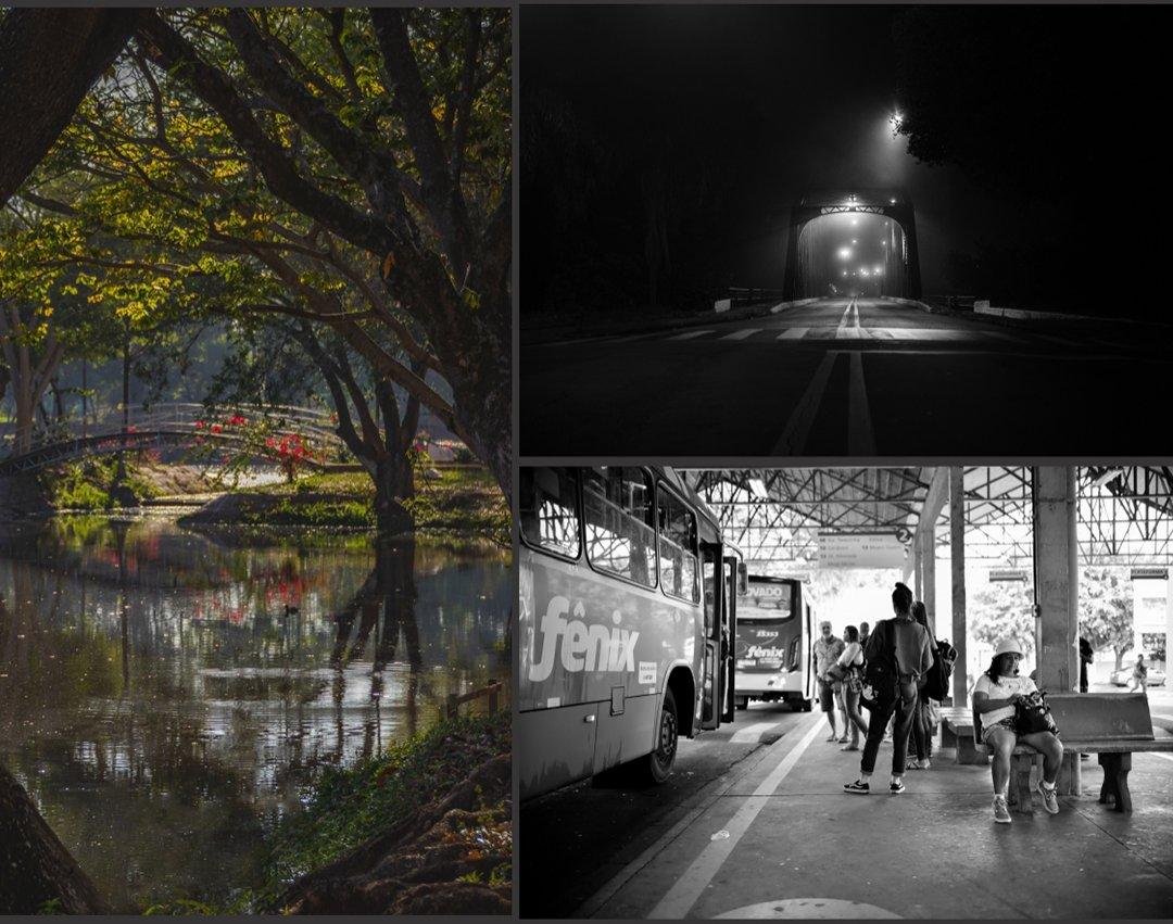 Cultura anuncia vencedores do 8º Concurso de Fotografia