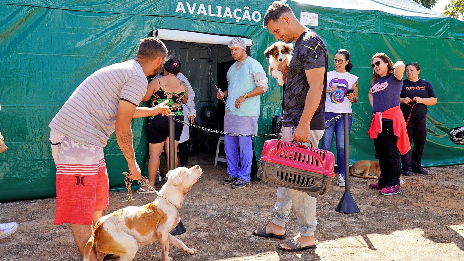 Programa de Castração Animal tem vagas disponíveis para o final de semana
