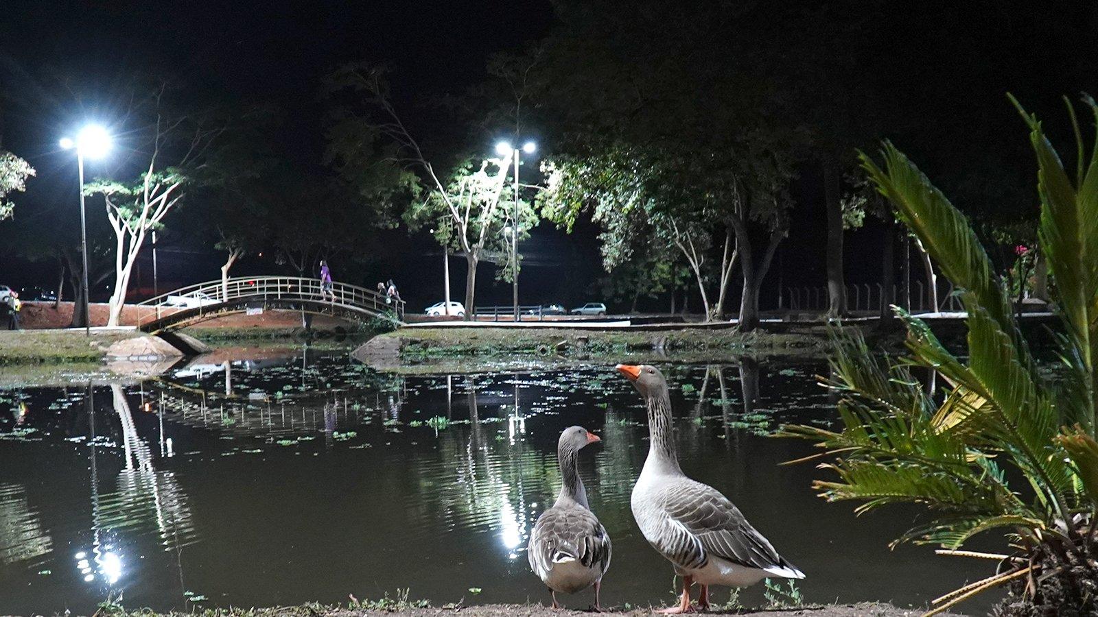Pedalinho é reaberto com moderna iluminação em LED e de cara nova para toda população  