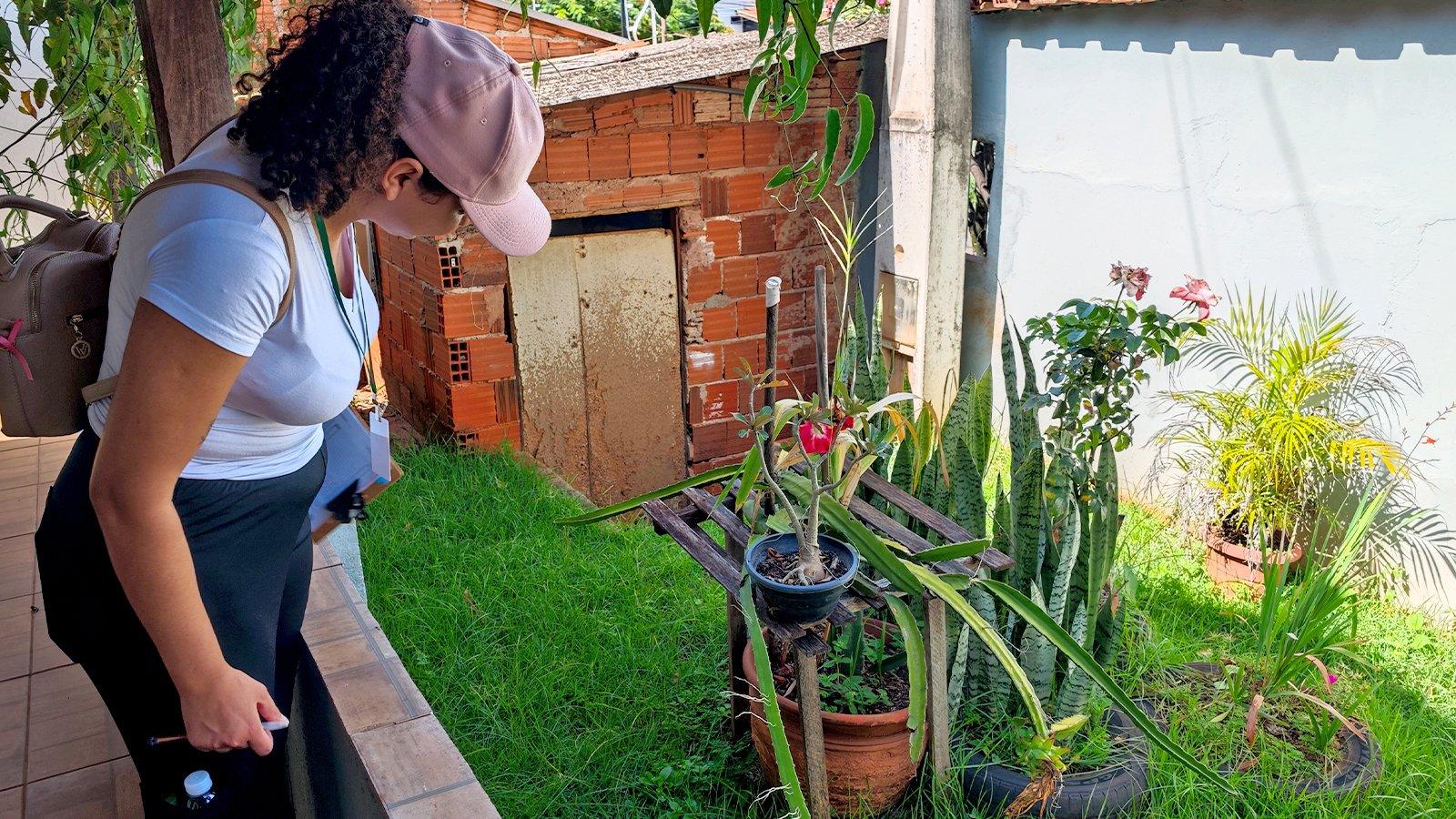 Mutirão contra a dengue atingirá 12 bairros e terá drive-thru para descarte de materiais