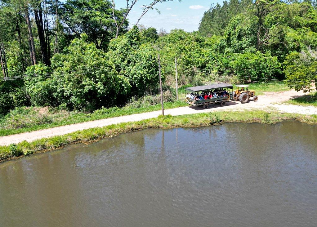 Inscrições para a Caminhada Turística Ecológica na Fazenda Campininha estão encerradas