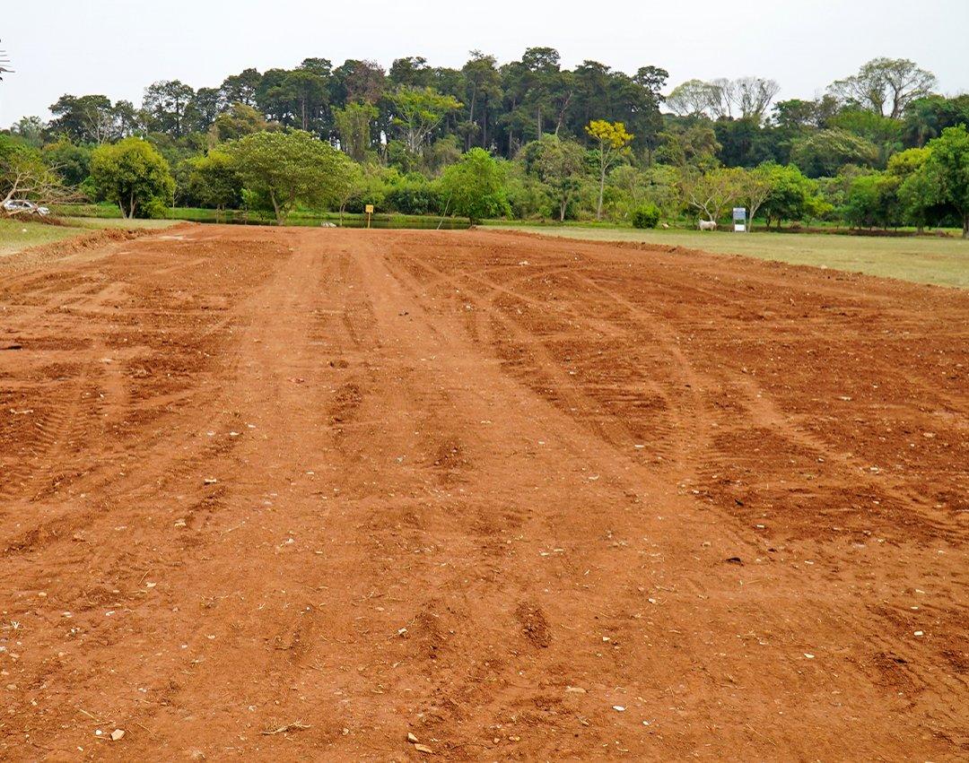 Área verde do Distrito de Martinho Prado Júnior passa por revitalização